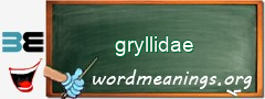 WordMeaning blackboard for gryllidae